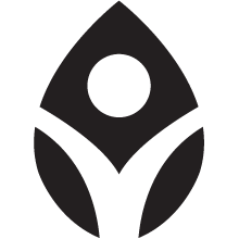 David Lee Acupuncture