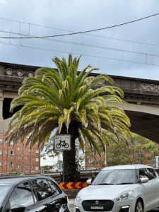 Engineers Australia Sydney