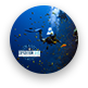 Expedition Dive