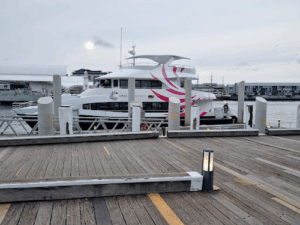 Journey Beyond Cruise