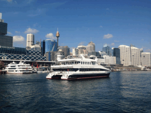 Magistic Cruises