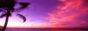 North Shore & City Hypnotherapy Sydney