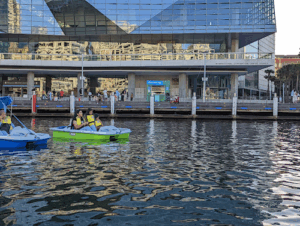 Pedal Boat Hire Darling Harbour