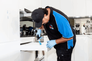 Pest Control Sydney Wide