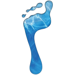 Podiatry First