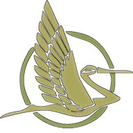 Rodd Sanchez Sydney Acupuncture & Chinese Herbal Medicine