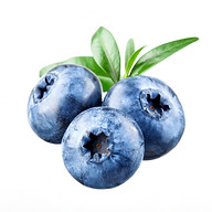 Sydney City Nutritionist