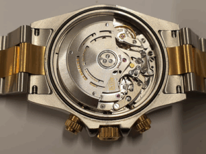 The Creative Watchmaker